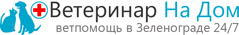 Ветеринар На Дом — Зеленоград Ветеринар На Дом — Зеленоград